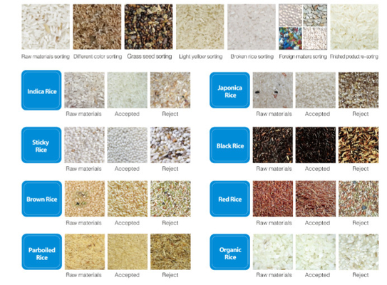Dreamplus Rys Kolor Sorter Wysoka dokładność 99,99% Sorting Machine