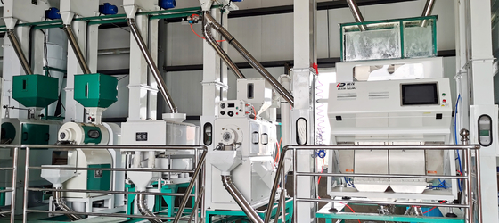 Dreamplus Rys Kolor Sorter Wysoka dokładność 99,99% Sorting Machine