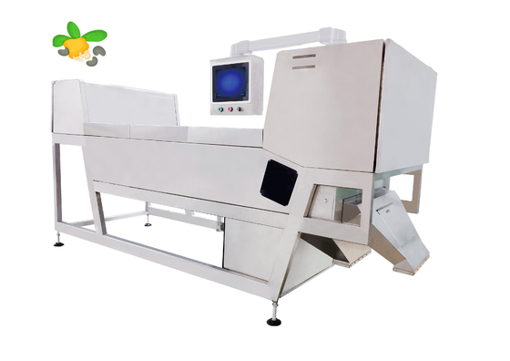 Sorter kolorów pasów o szerokości 600 mm z sortowaniem wielkości tyłka nerkowca