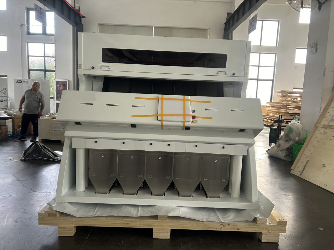 1.5 - 3 T/H orzechy Sorter koloru z czujnikiem kamery TOSHIBA i światło LED